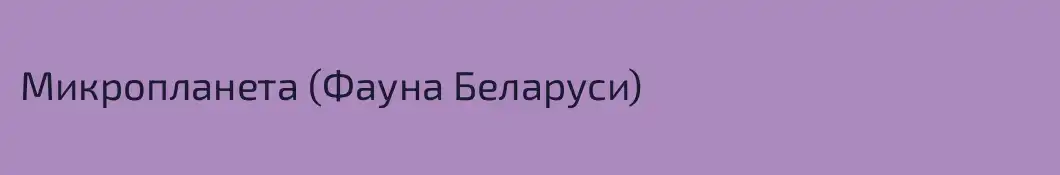 Микропланета (Фауна Беларуси)